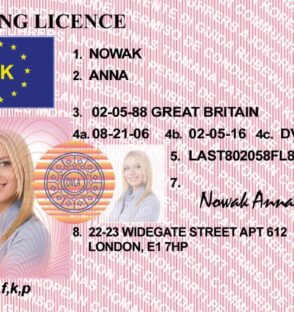 provisional license in the UK